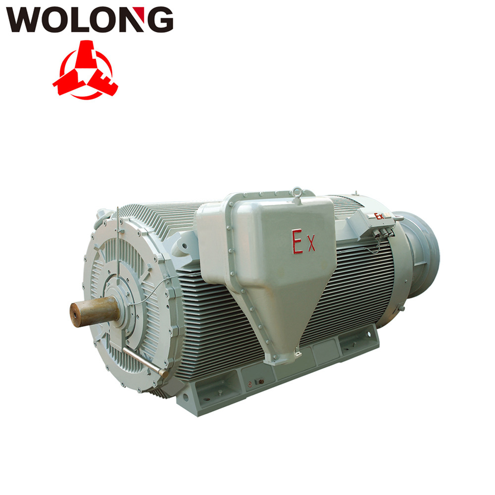 臥龍防爆電機 2極 4極 6極YBBP南陽防爆電機 變頻調(diào)速防爆電機 變頻防爆電機
